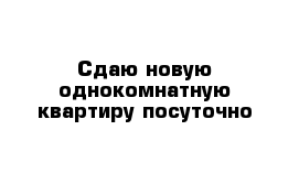 Сдаю новую однокомнатную квартиру посуточно